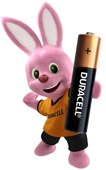Pilas Duracell